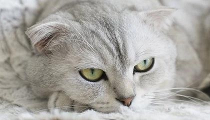 九游下载中心-国足失利，媒体标题文案痛彻心扉，国足总结失败 低估对手