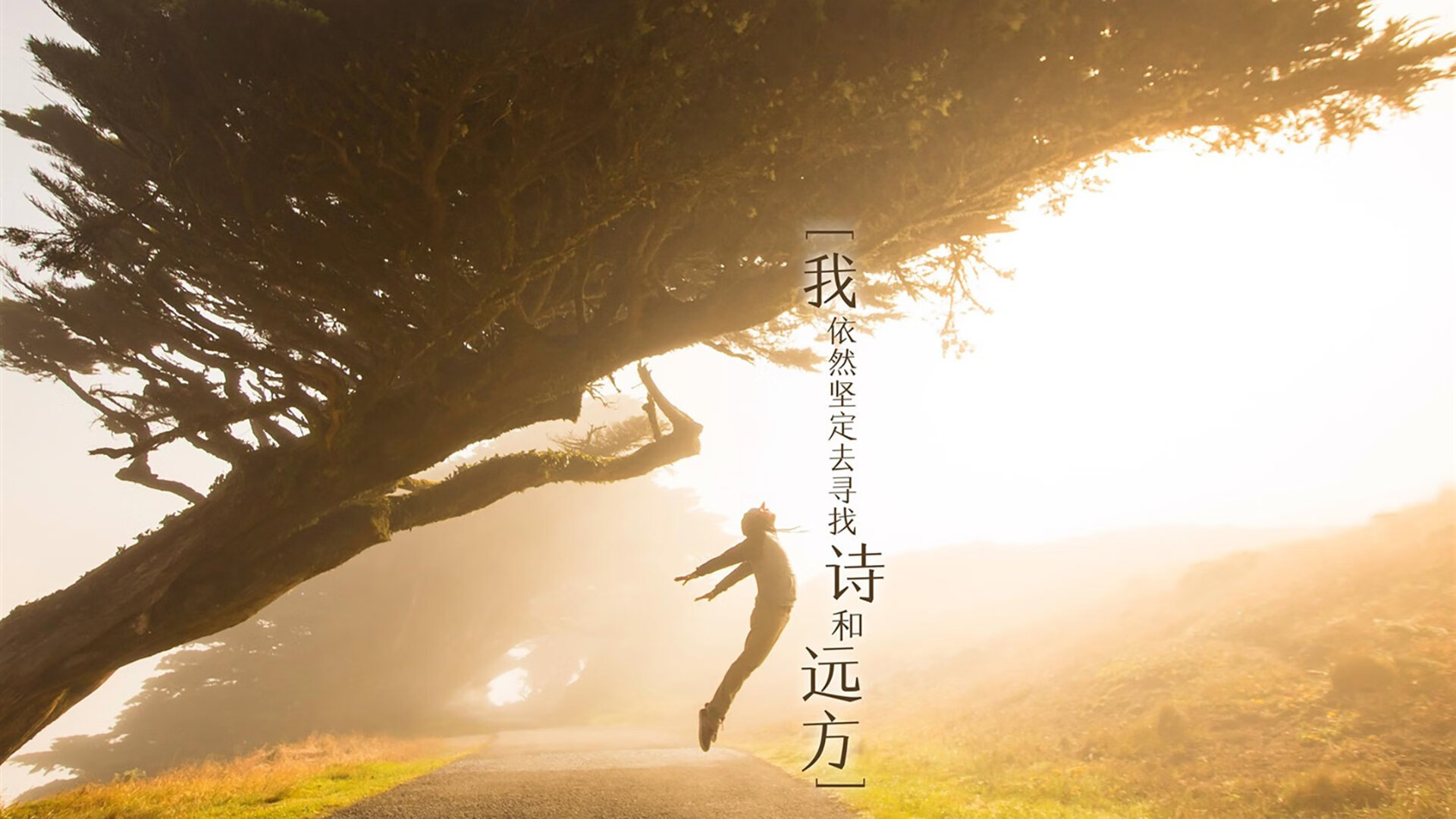 创纪录橄榄球队赛季进攻数据，橄榄球数据统计