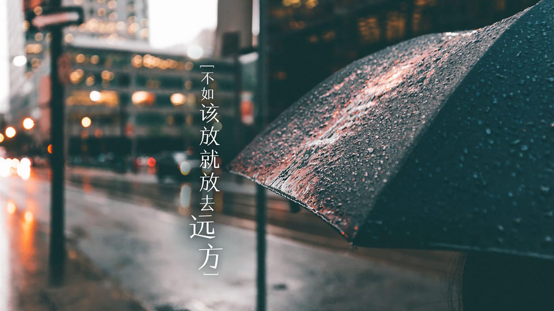 墨西哥骑手费德里科·费尔南德斯在巴黎奥运会上与“Romeo”马匹共同参赛，尽管因马匹受伤被迫退出，但展现了坚强意志。