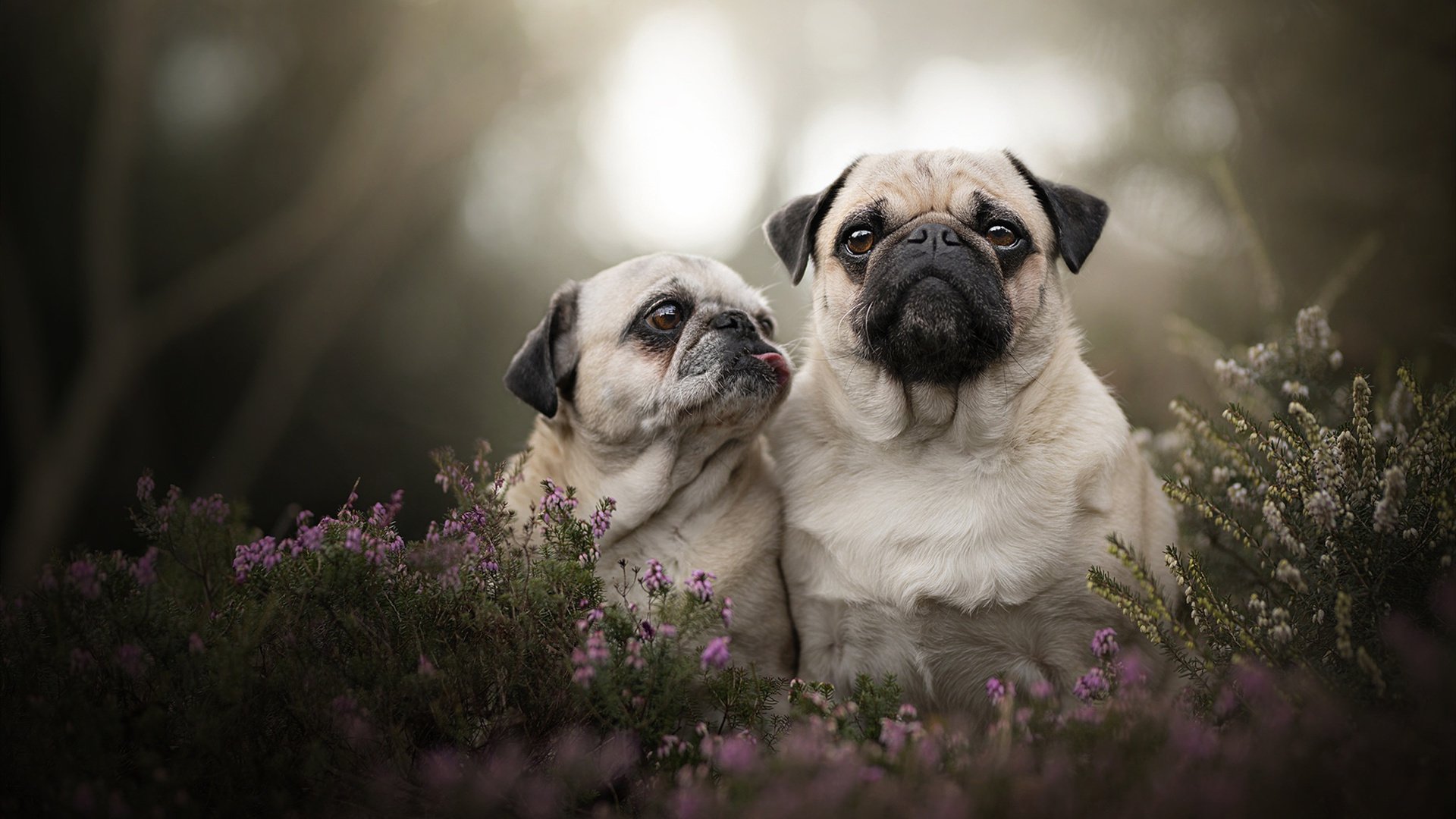 九游登录中心-球员伤病数据引起重视科学防护体系逐步建立，球员伤病情况