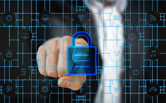 JIUYOU GAMING-马术运动进校园课程体系初步建立，马术走进校园合作方案