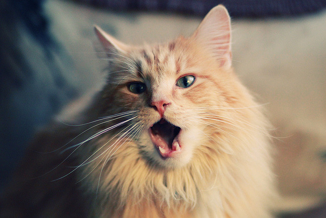 世界杯最燃时刻:激情爆发,难以忘怀!,世界杯片段