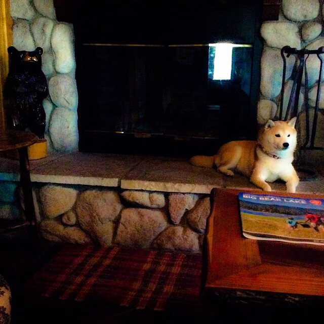 体育新闻中心黑马表现分析,体育新闻的网站