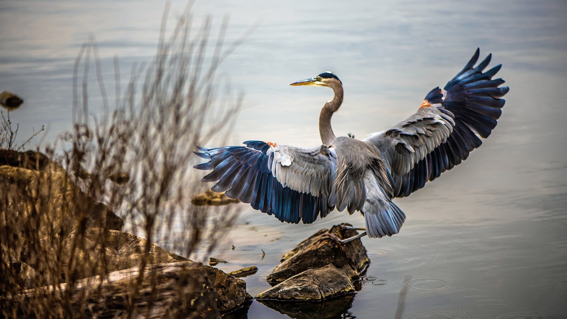 篮球进校园成果展举行展示青少年技能进步与团队精神，篮球专项展示